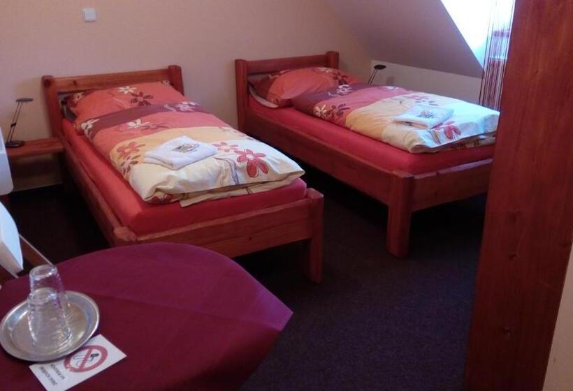 غرفة قياسية, Penzion Kelt