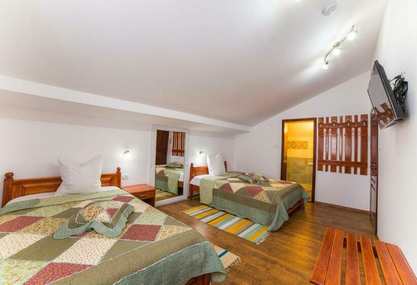 스탠다드 룸, Pensiunea Palaghia