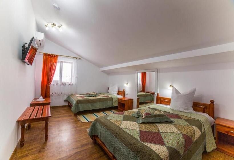 스탠다드 룸, Pensiunea Palaghia