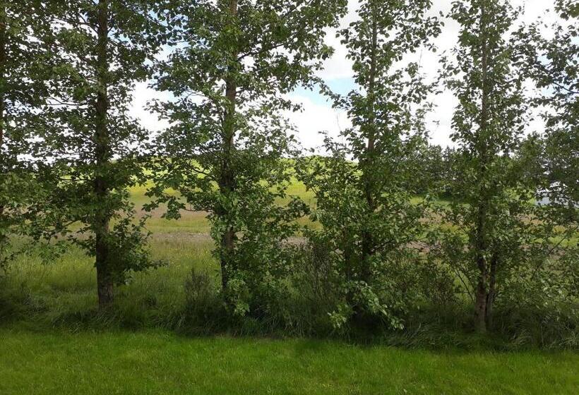 اتاق عادی, Skyggnir Bed And Breakfast