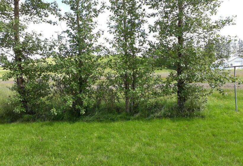 اتاق عادی, Skyggnir Bed And Breakfast