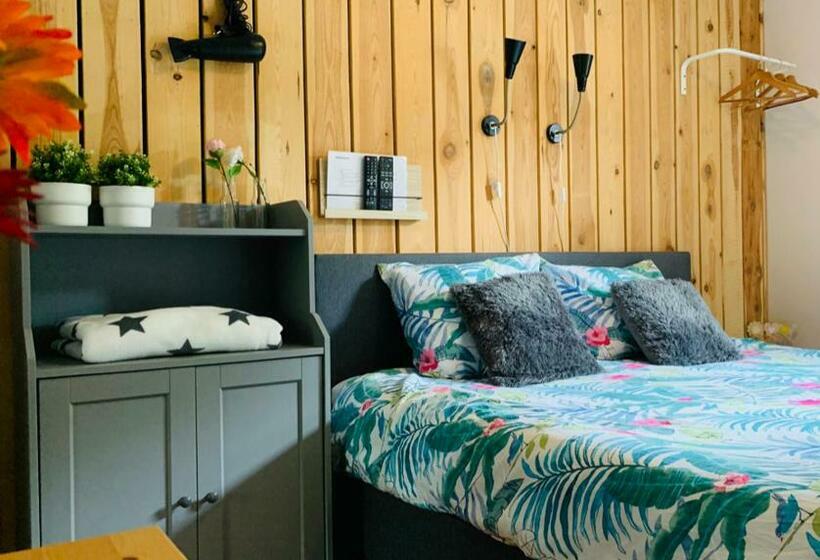 스탠다드 룸, La Fleur Et Le Soleil