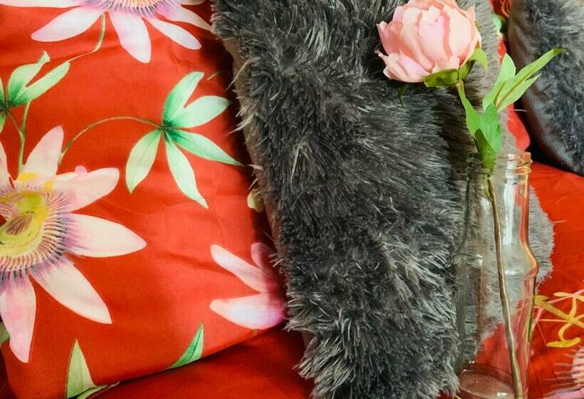 스탠다드 룸, La Fleur Et Le Soleil