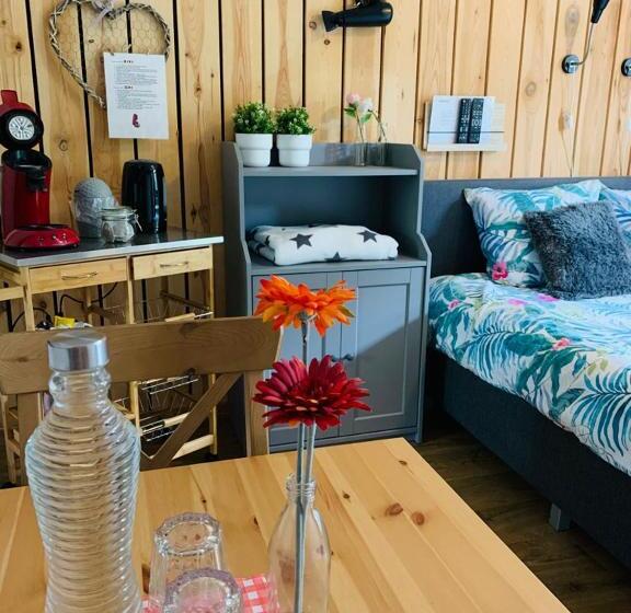 스탠다드 룸, La Fleur Et Le Soleil