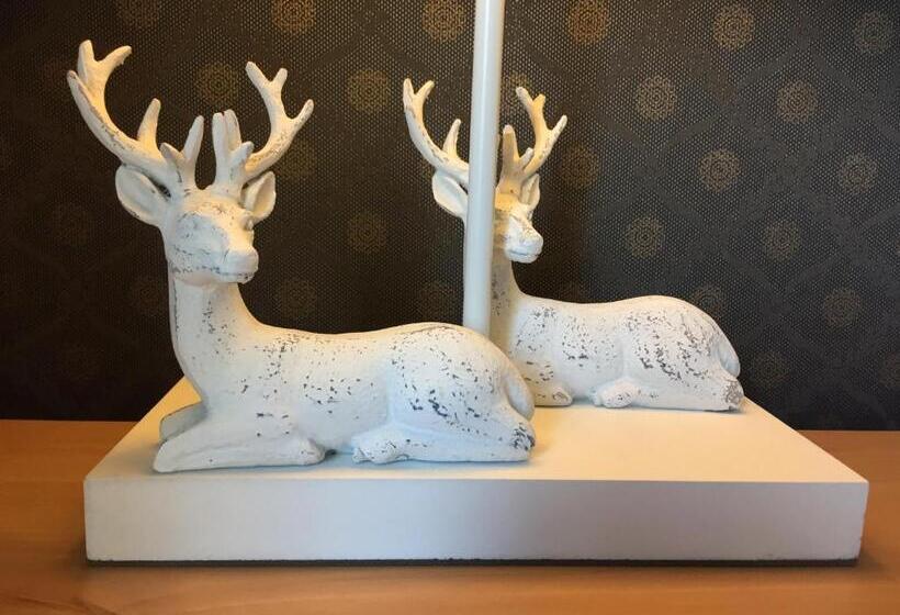 סוויטת קומפורט, Meerzee