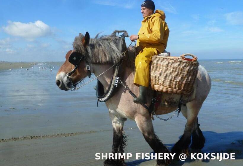 استودیو استاندارد با تراس, Lilafee