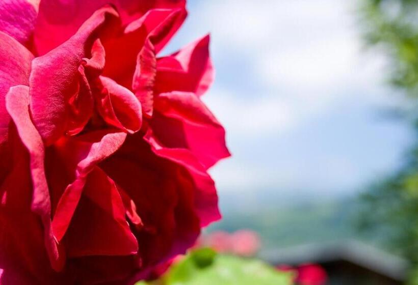 غرفة قياسية ثلاثية, Au Cheval Blanc   Appartements Et Chambres D Hôtes