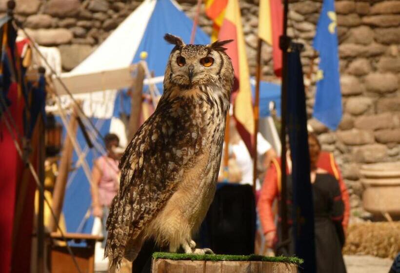 شقة غرفة واحدة ذات إطلالة, Au Cheval Blanc   Appartements Et Chambres D Hôtes