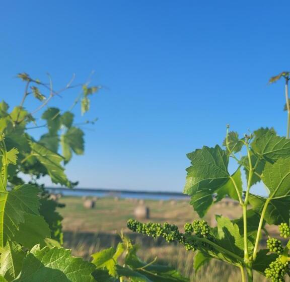 اتاق استاندارد با تراس, Affittacamere Orbetello Centro