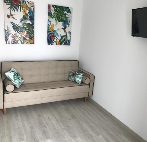 شقة غرفة واحدة, Avenida