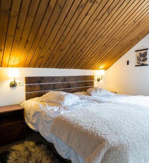 基本间, Montana Resort Colibita