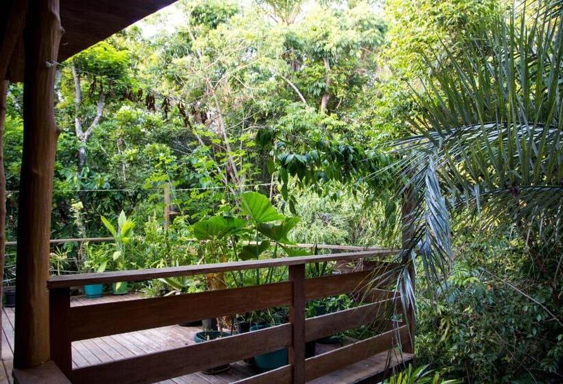 إستوديو قياسى, Canto Do Morere