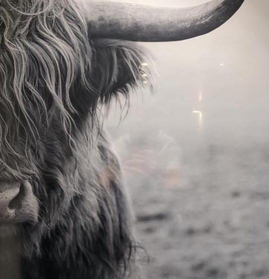 バルコニー付きスタンダードルーム, Chalet Sonneck