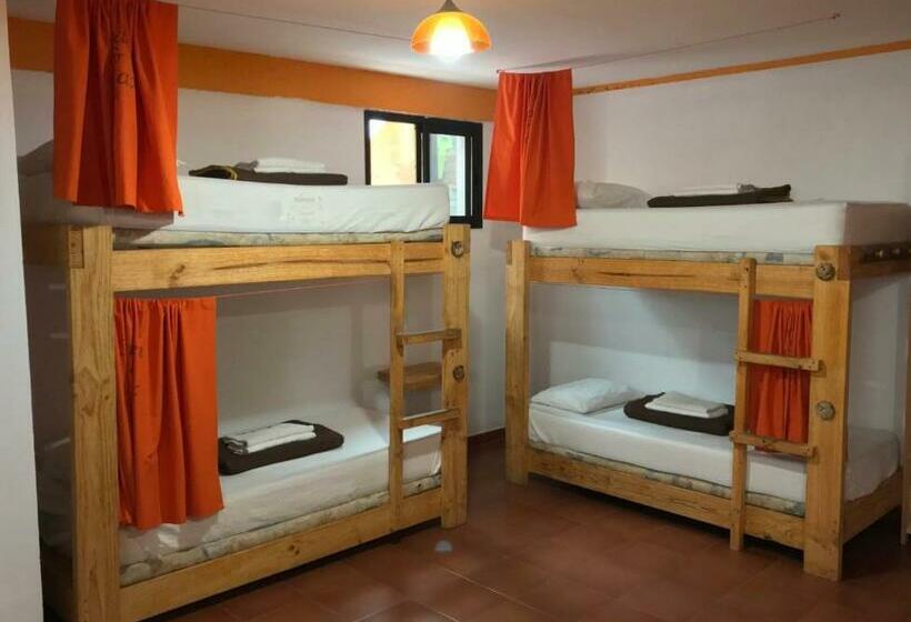 מיטה בחדר משותף, Corralejo Garden&relax