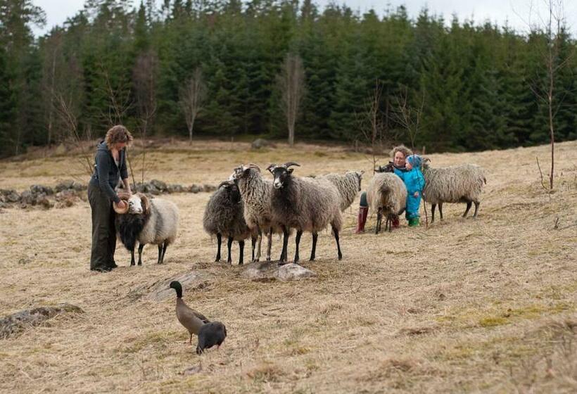 غرفة قياسية حمام مشترك, Escape To Paulssonpaleo