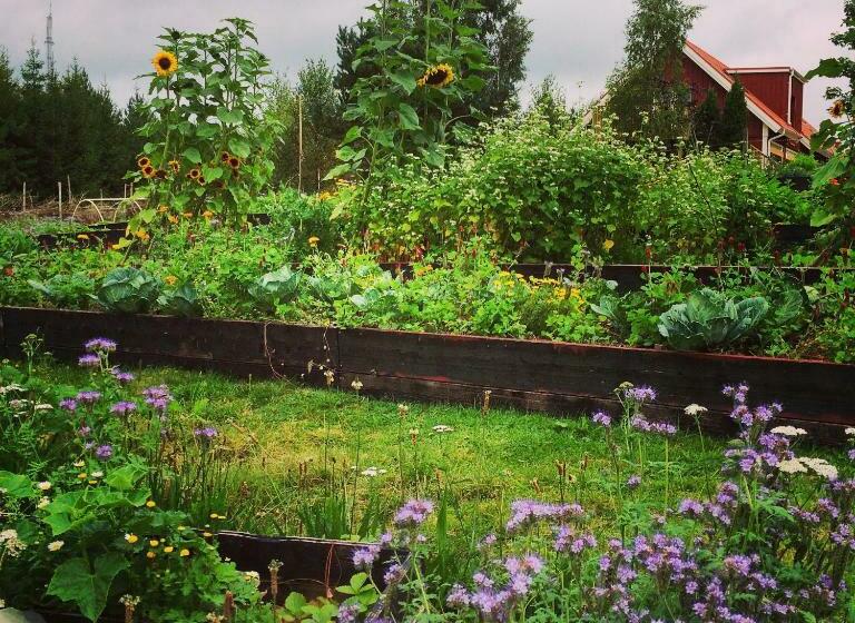 غرفة قياسية حمام مشترك, Escape To Paulssonpaleo