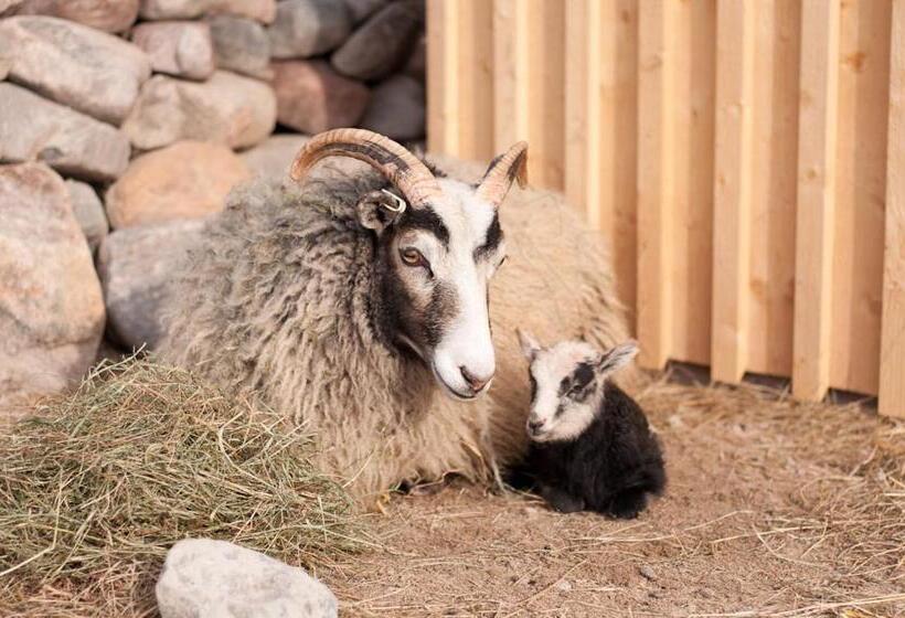 غرفة قياسية حمام مشترك, Escape To Paulssonpaleo