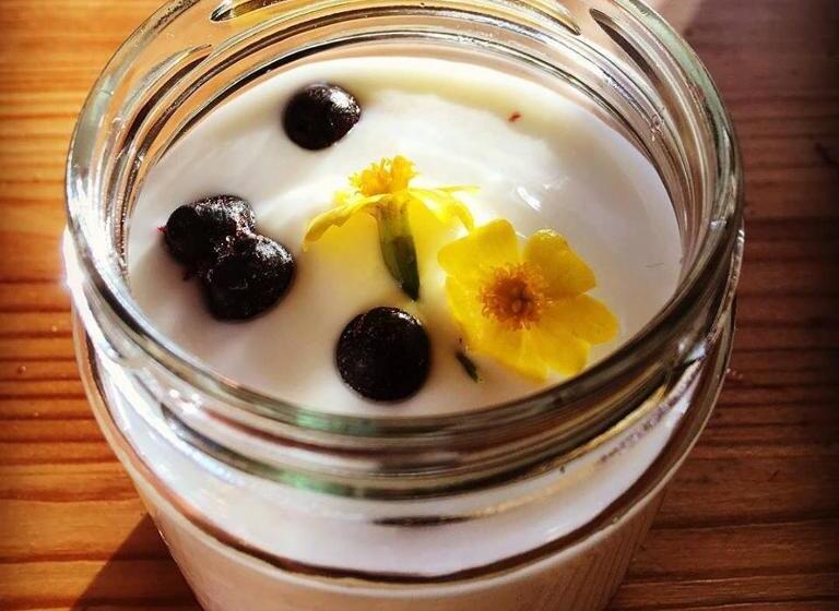 غرفة قياسية, Escape To Paulssonpaleo