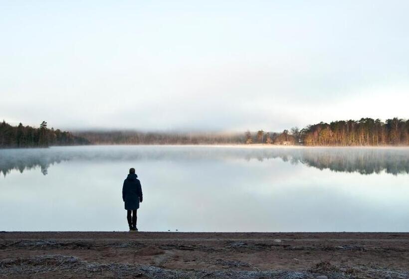 Номер Стандарт, Escape To Paulssonpaleo