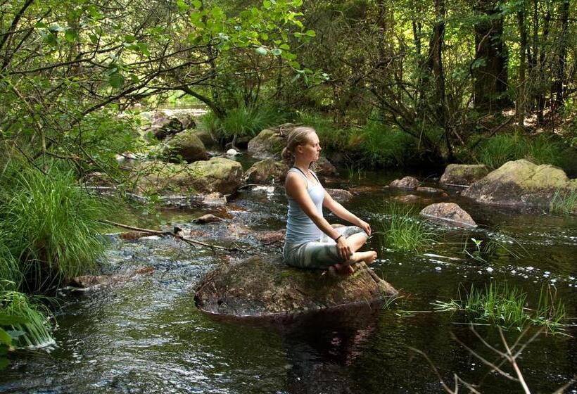 غرفة قياسية, Escape To Paulssonpaleo