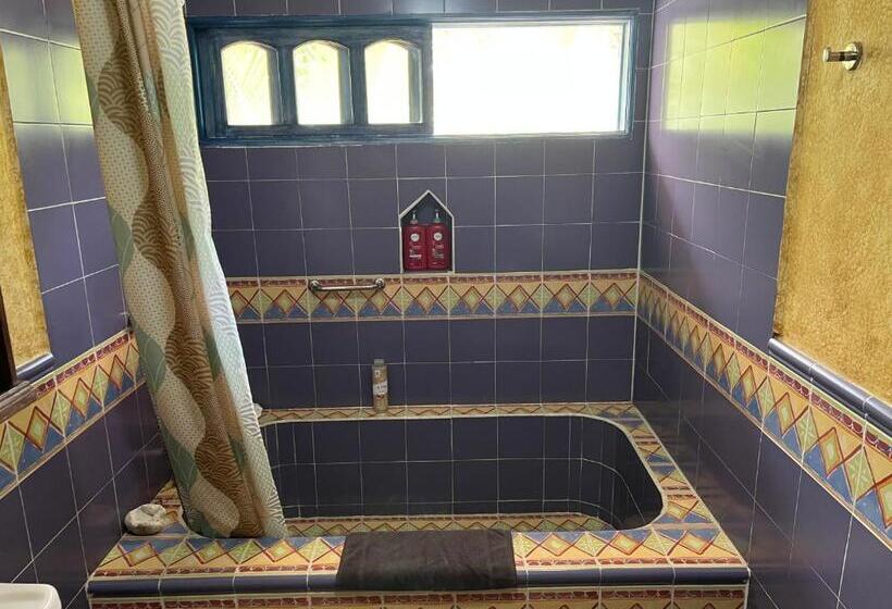 Studio Deluxe, Hacienda Boutique B&b And Spa Solo Adultos