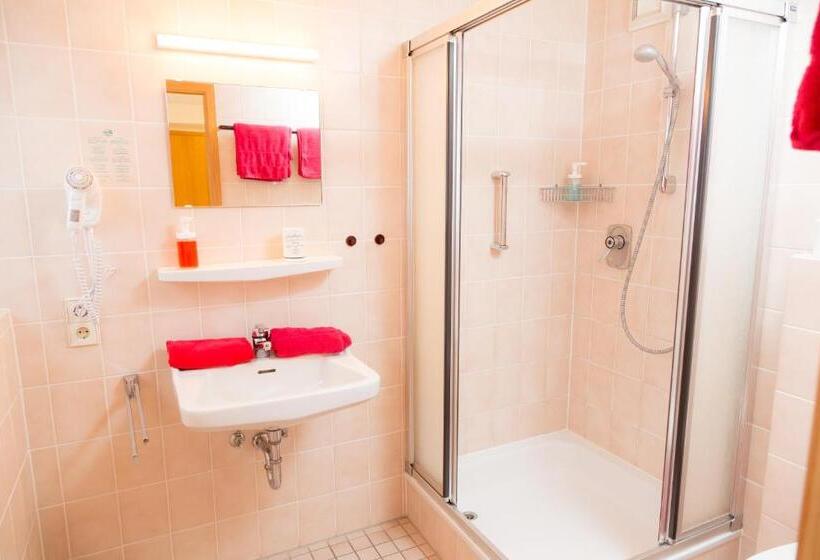 חדר סטנדרט, Landgasthof Ritter