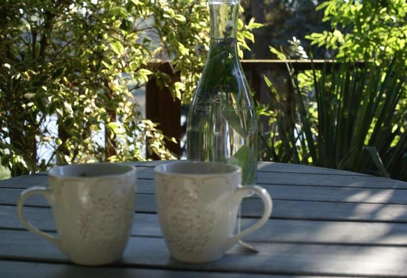 חדר דלוקס, Villa Letná