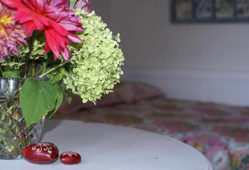 חדר דלוקס, Villa Letná