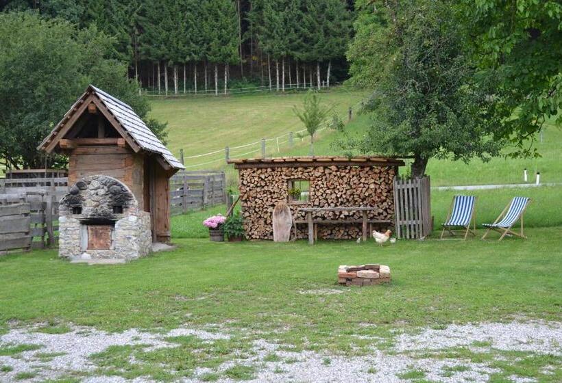 Апартаменты 1 Спальня Вид на Сад, Bauernhof Kaspergut