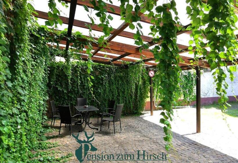 Номер Стандарт, Pension Zum Hirsch