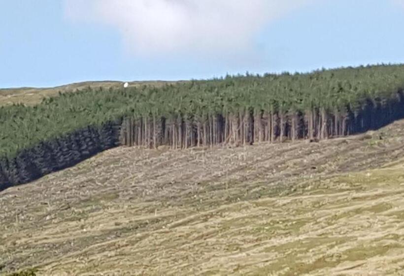 Standard room with outdoor bath, An Charraig Ban On The Wild Atlantic Way F94wt02