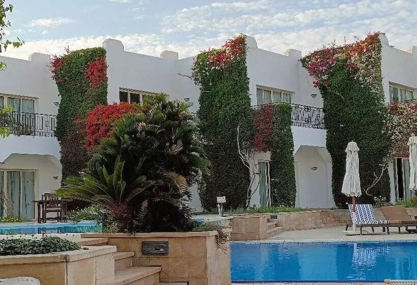 اتاق سوپریور با چشمانداز دریا, Eden Rock Hotel Namaa Bay