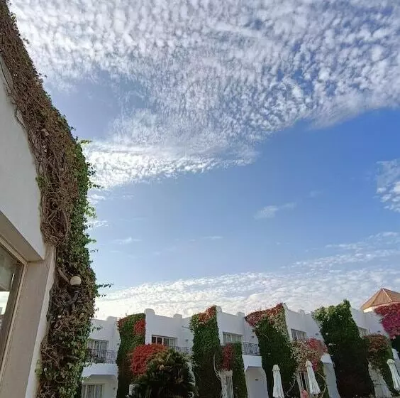 اتاق سوپریور با چشمانداز دریا, Eden Rock Hotel Namaa Bay