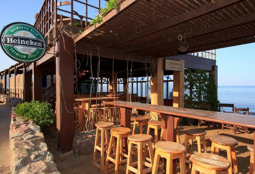 اتاق استاندارد یک نفره, Blue Beach Club