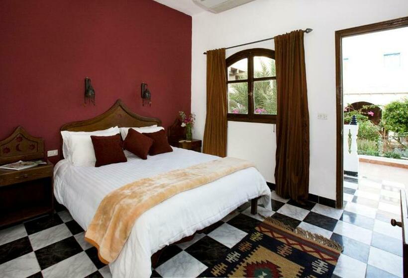 اتاق سوپریور یک تخته, Blue Beach Club