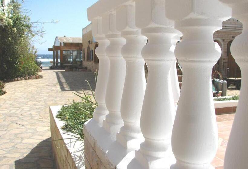 اتاق سوپریور یک تخته, Blue Beach Club