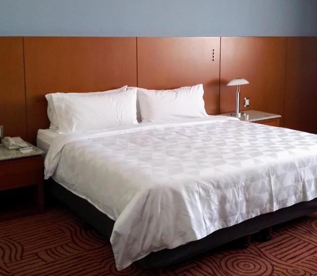 اتاق استاندارد, Holiday Inn Puebla Finsa, An Ihg