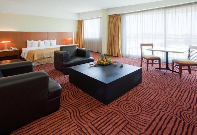 جناح جونيور مزوَّد بجاكوزي, Holiday Inn Puebla Finsa, An Ihg