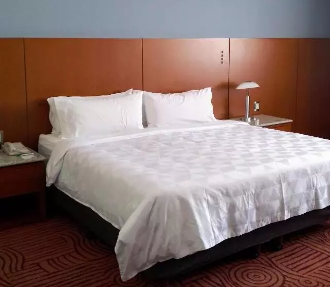 اتاق اجرایی با تخت بزرگ, Holiday Inn Puebla Finsa, An Ihg