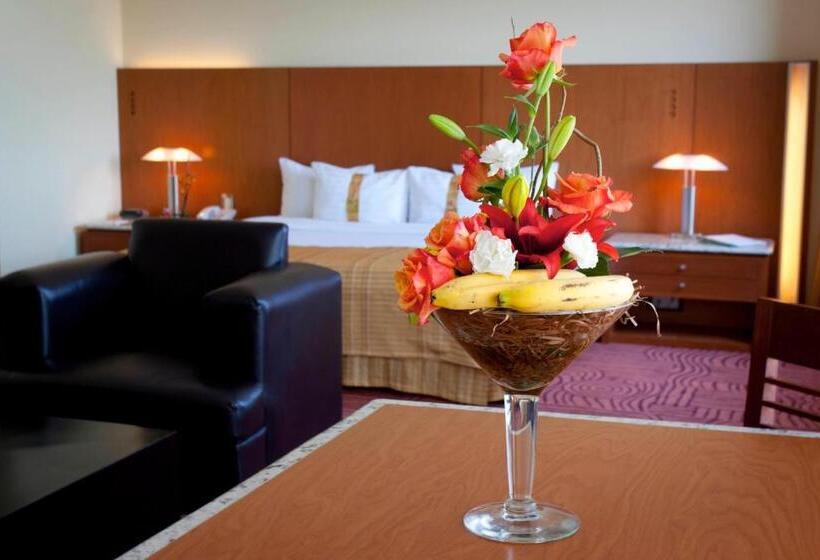 جناح جونيور مزوَّد بجاكوزي, Holiday Inn Puebla Finsa, An Ihg