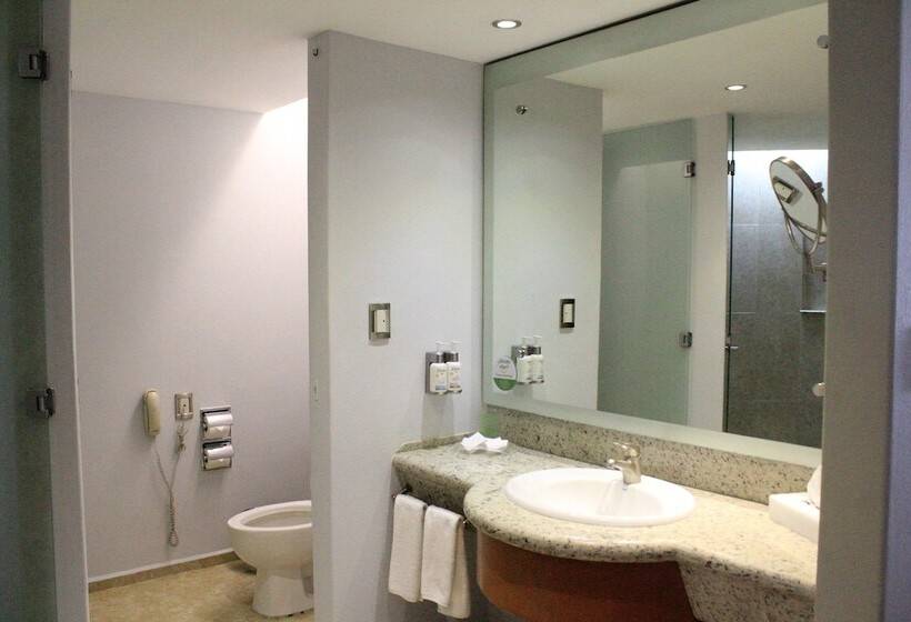 غرفة قياسية, Holiday Inn Puebla Finsa, An Ihg