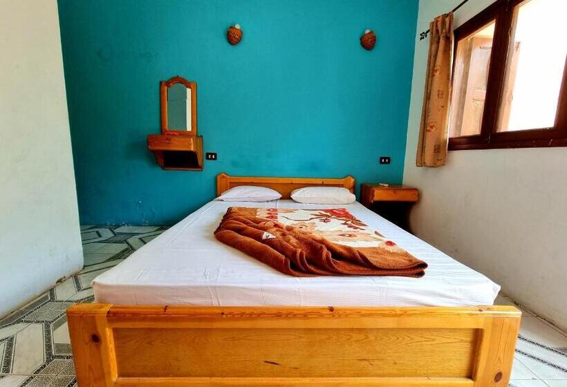 اتاق استاندارد یک نفره, Jowhara