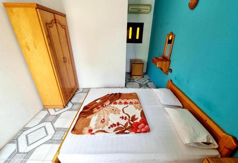 اتاق استاندارد, Jowhara