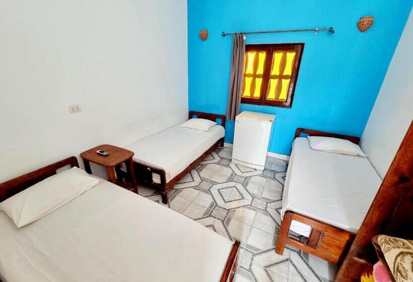 اتاق استاندارد سه نفره, Jowhara