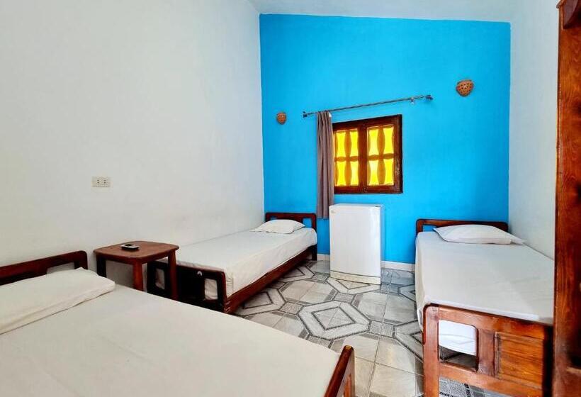 اتاق استاندارد سه نفره, Jowhara