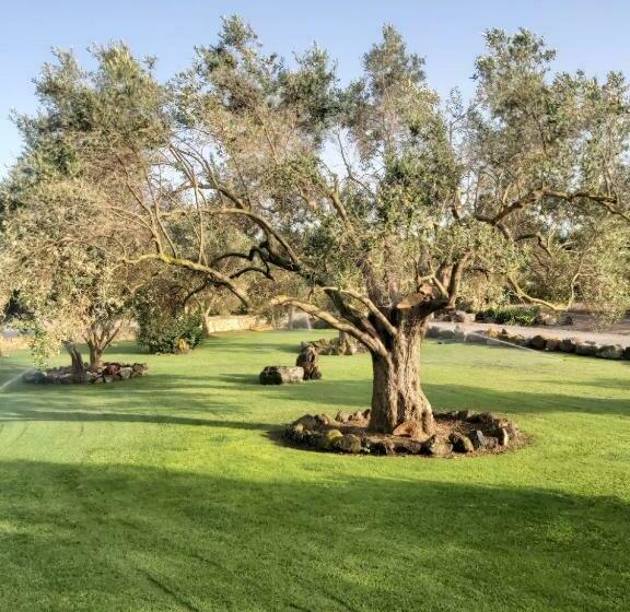 חדר סטנדרט, Su Sattisceddu