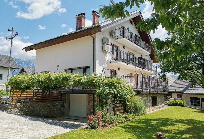 اتاق استاندارد با بالکن, Apartments & Rooms Aleksandra