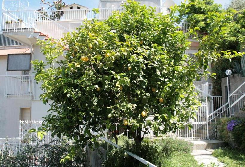 Номер Economy, Poggio Del Sole