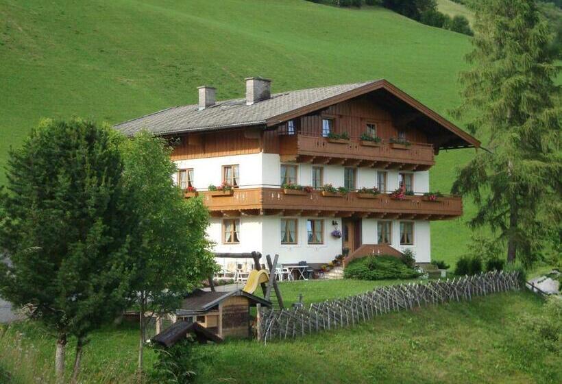 2 Bedroom Apartment with Views, Pension Grubhof