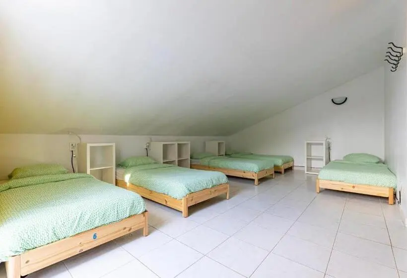 ルームシェアのワンベッド, Pineapple Surf House